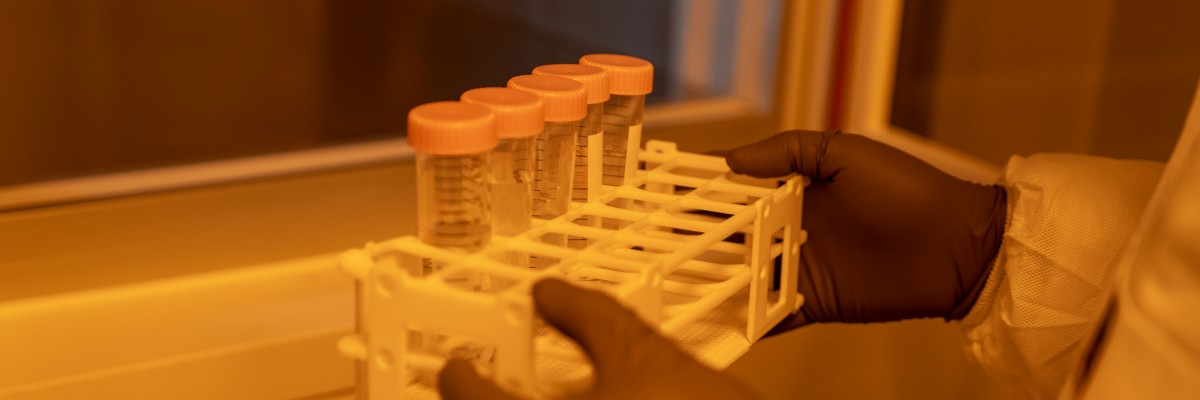 Test tube rack inside glovebox