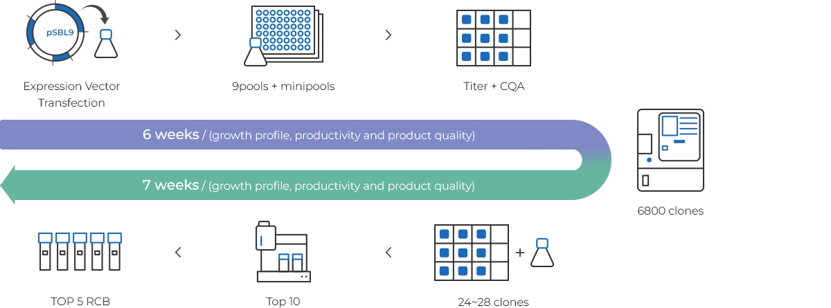 Single Cell Cloning with Beacon