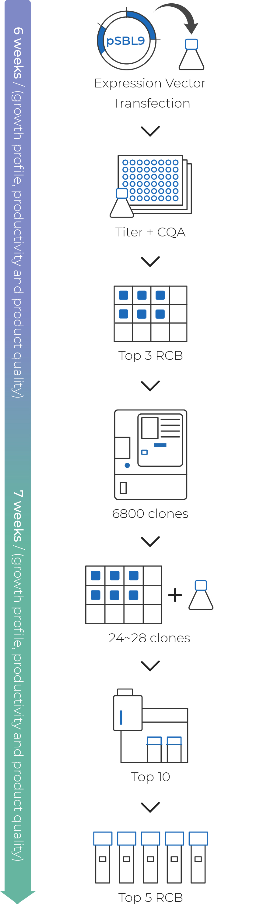Single Cell Cloning with Beacon
