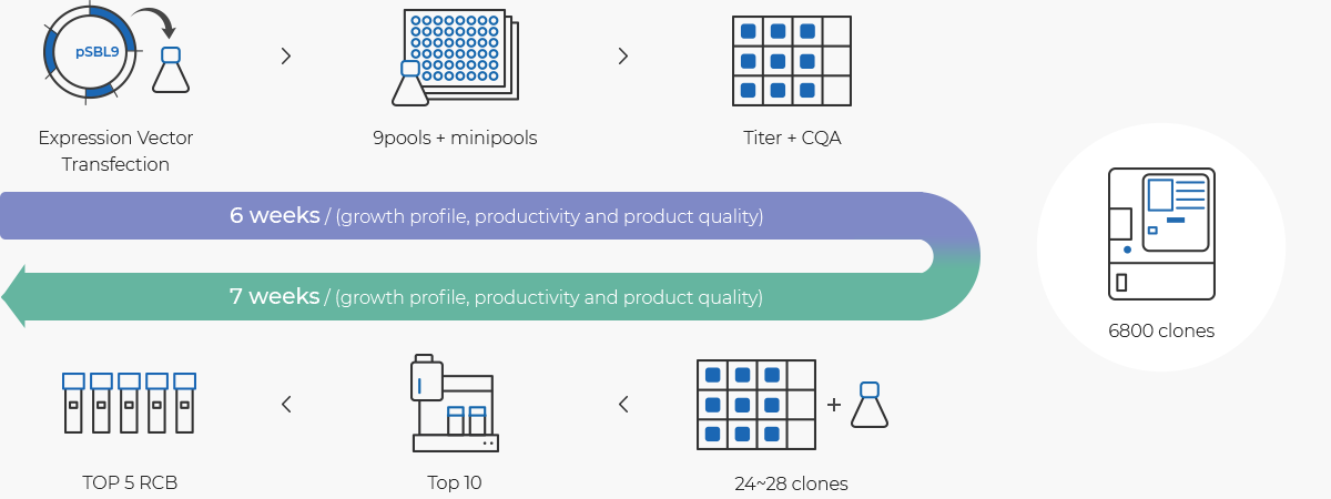 Single cell cloning with Beacon TM image