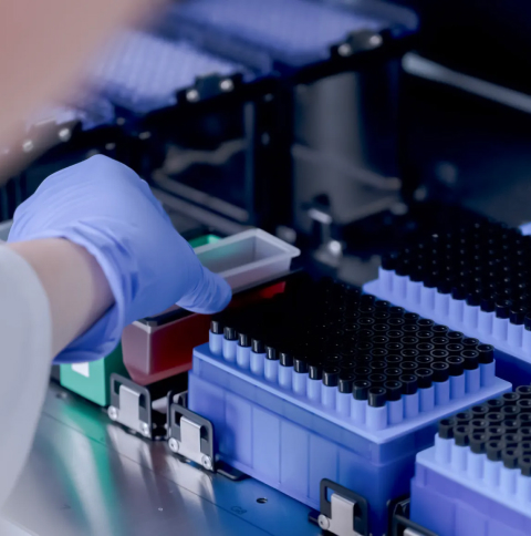 End-to-End Analytical Development for Biologics
