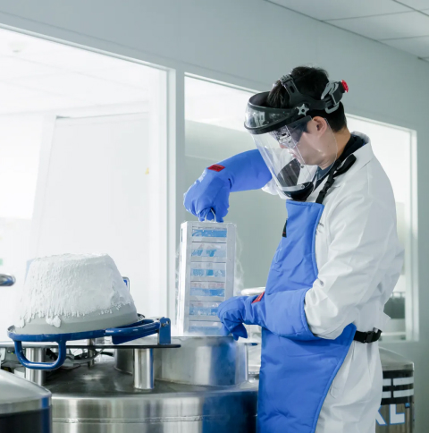 Optimized Cell Line Development for Faster IND