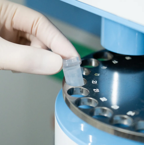 End-to-End Analytical Development for Biologics