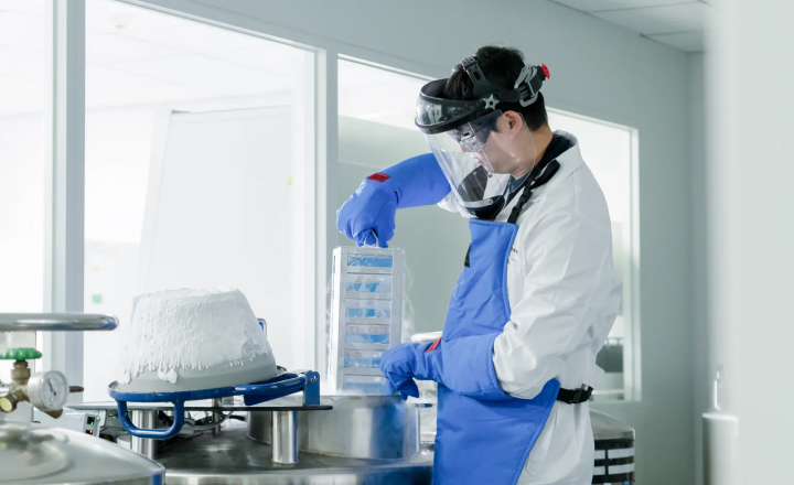 Optimized Cell Line Development for Faster IND