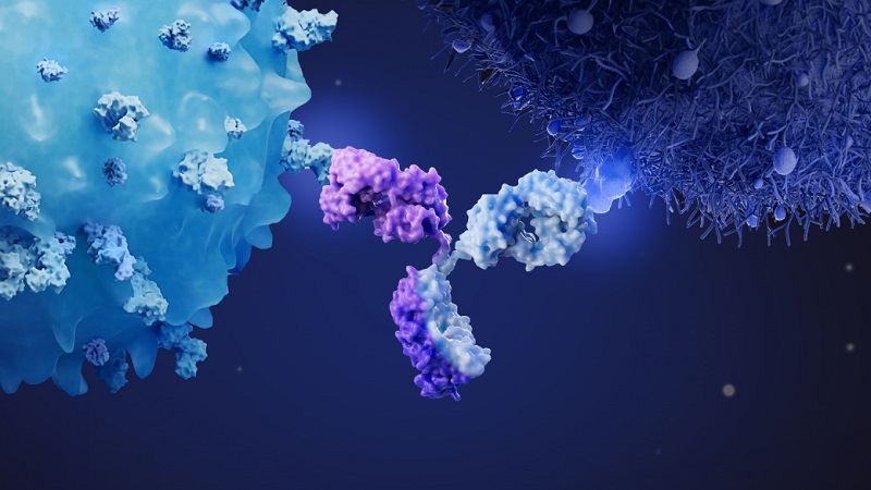 Empowering clients for multispecific antibody therapeutics