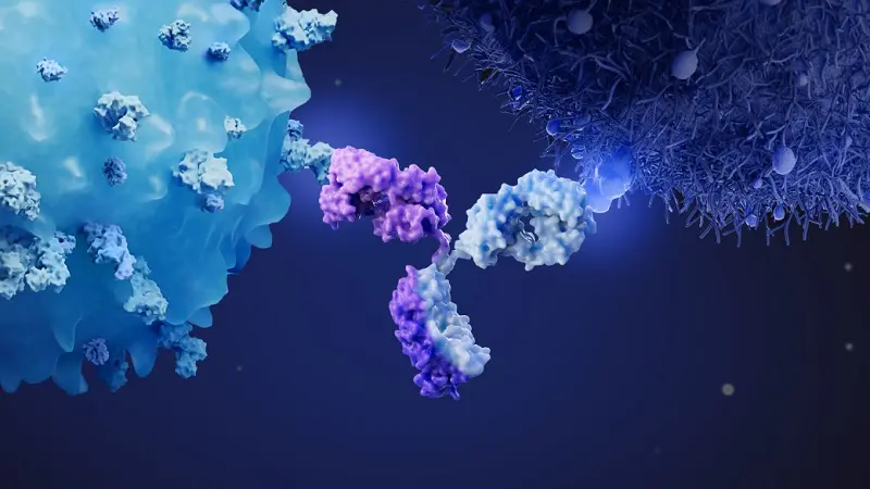 Empowering clients for multispecific antibody therapeutics