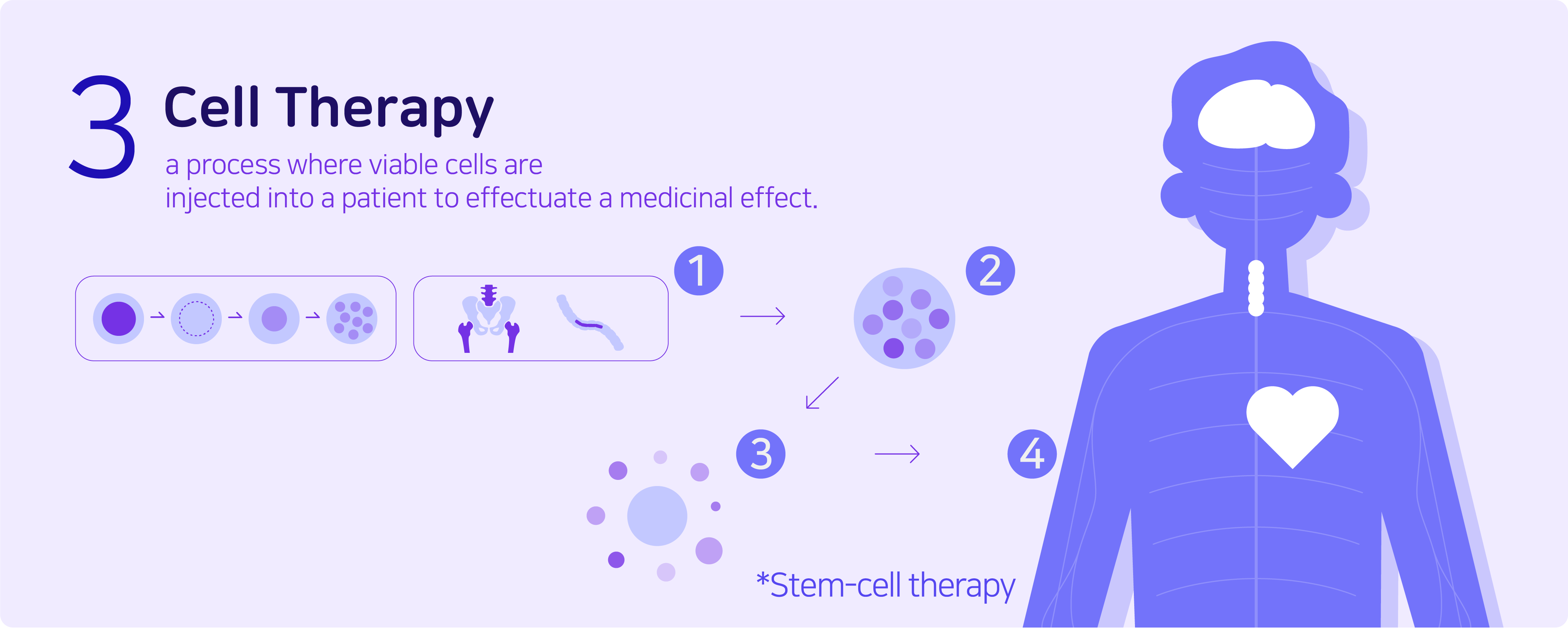 3. Cell Therapy - a process where viable cells are injected into a patient to effectuate a medicinal effect. *Stem-cell therapy