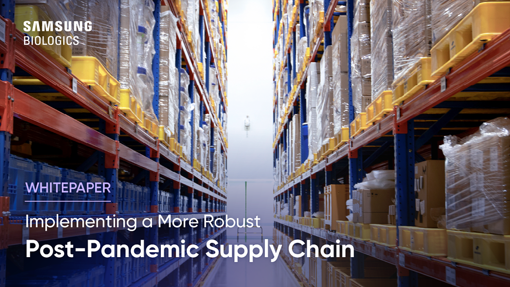 WHITEPAPER - implementing a More Robust Post-Pandemic Supply Chain
