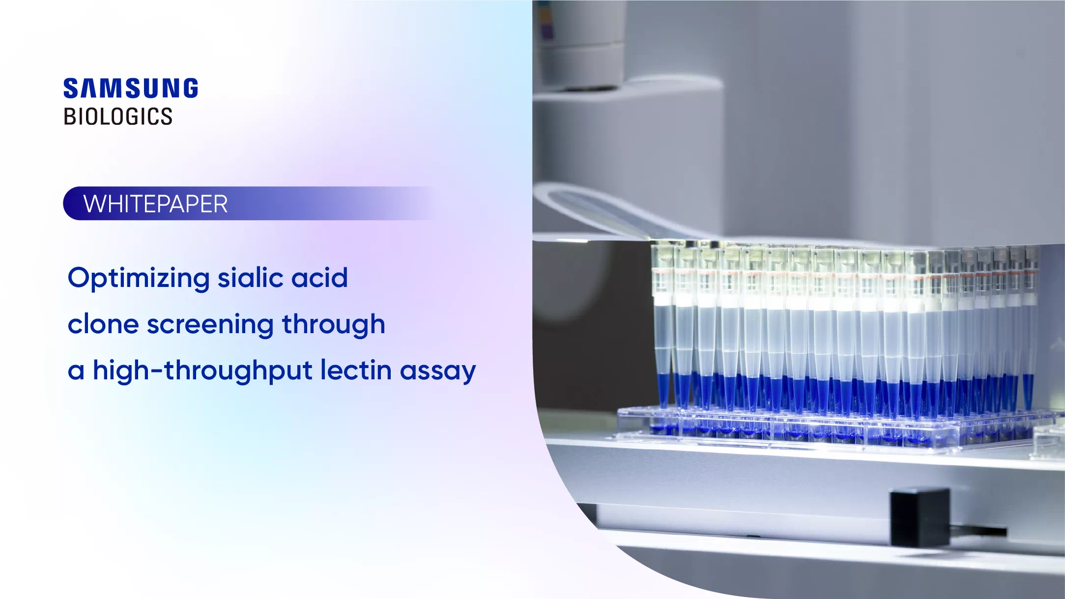 Whitepapers - Optimizing sialic acid clone screening through a high throughput lectin assay