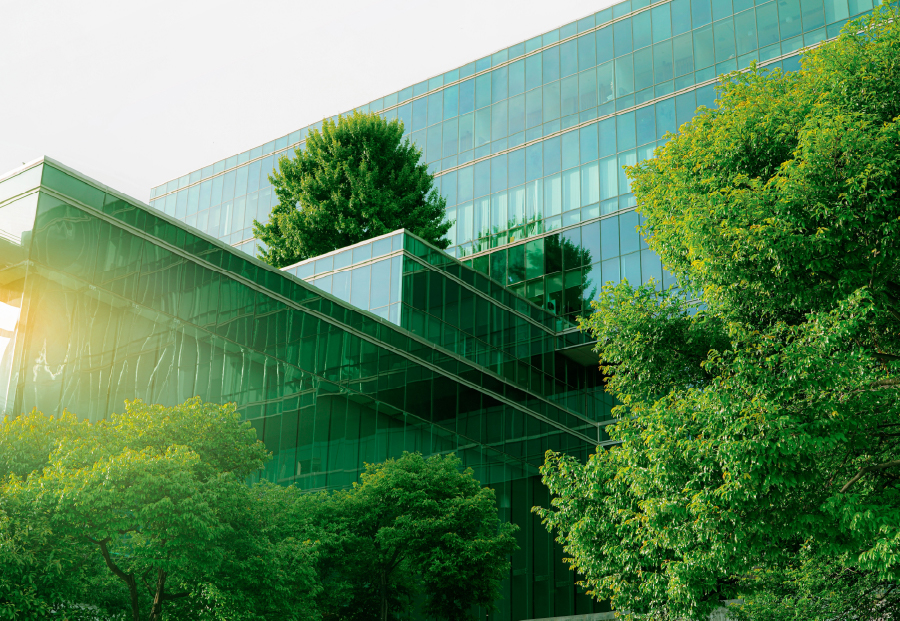 Setting the standard for sustainability in pharma