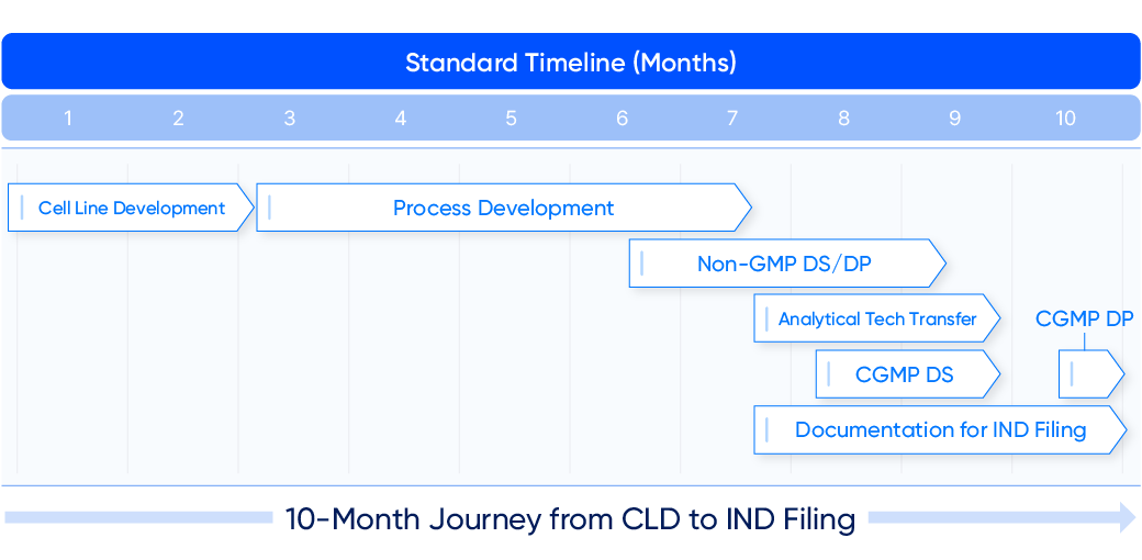 Standard Timeline(Months) 10-Month Journey from CLD to IND Filing