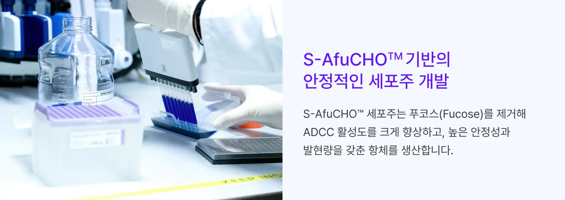 
		S-AfuCHO™ 기반의
		안정적인 세포주 개발

		S-AfuCHO™ 세포주는 푸코스(Fucose)를 제거해
		ADCC 활성도를 크게 향상하고, 높은 안정성과
		발현량을 갖춘 항체를 생산합니다.
		