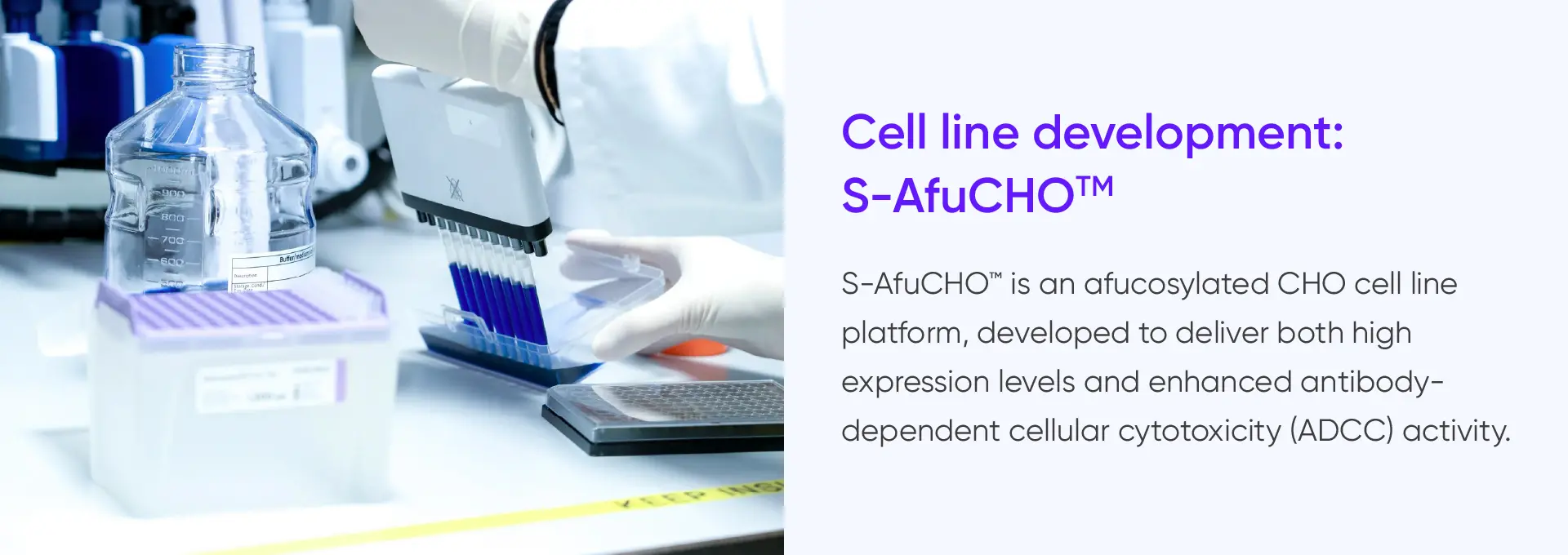
			Cell line development:
			S-AfuCHOTM

			S-AfuCHOTM is an afucosylated CHO cell line
			platform, developed to deliver both high
			expression levels and enhanced antibody-
			dependent cellular cytotoxicity (ADCC) activity.
		