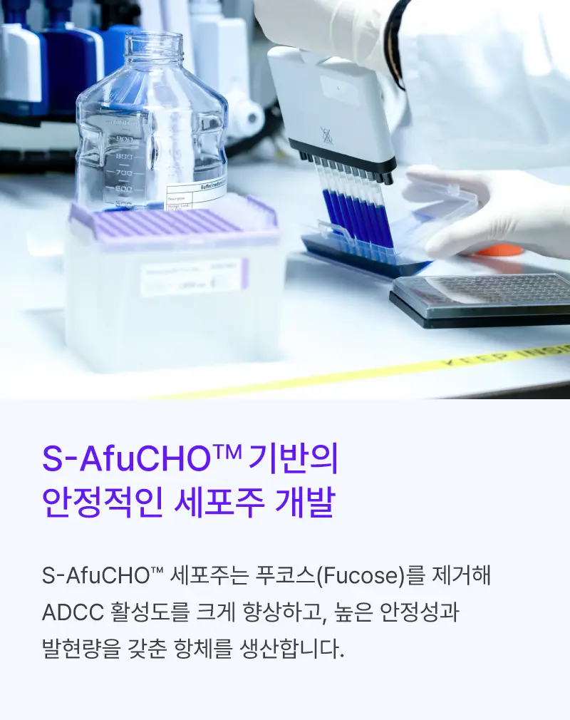 
		S-AfuCHO™ 기반의
		안정적인 세포주 개발

		S-AfuCHO™ 세포주는 푸코스(Fucose)를 제거해
		ADCC 활성도를 크게 향상하고, 높은 안정성과
		발현량을 갖춘 항체를 생산합니다.
		