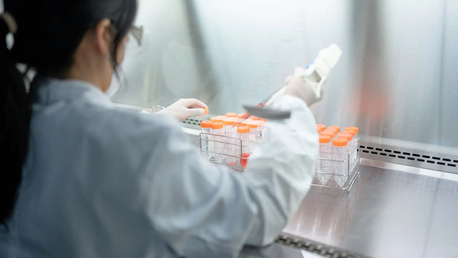 Optimizing charge and N glycan profiles for CHO derived fusion proteins