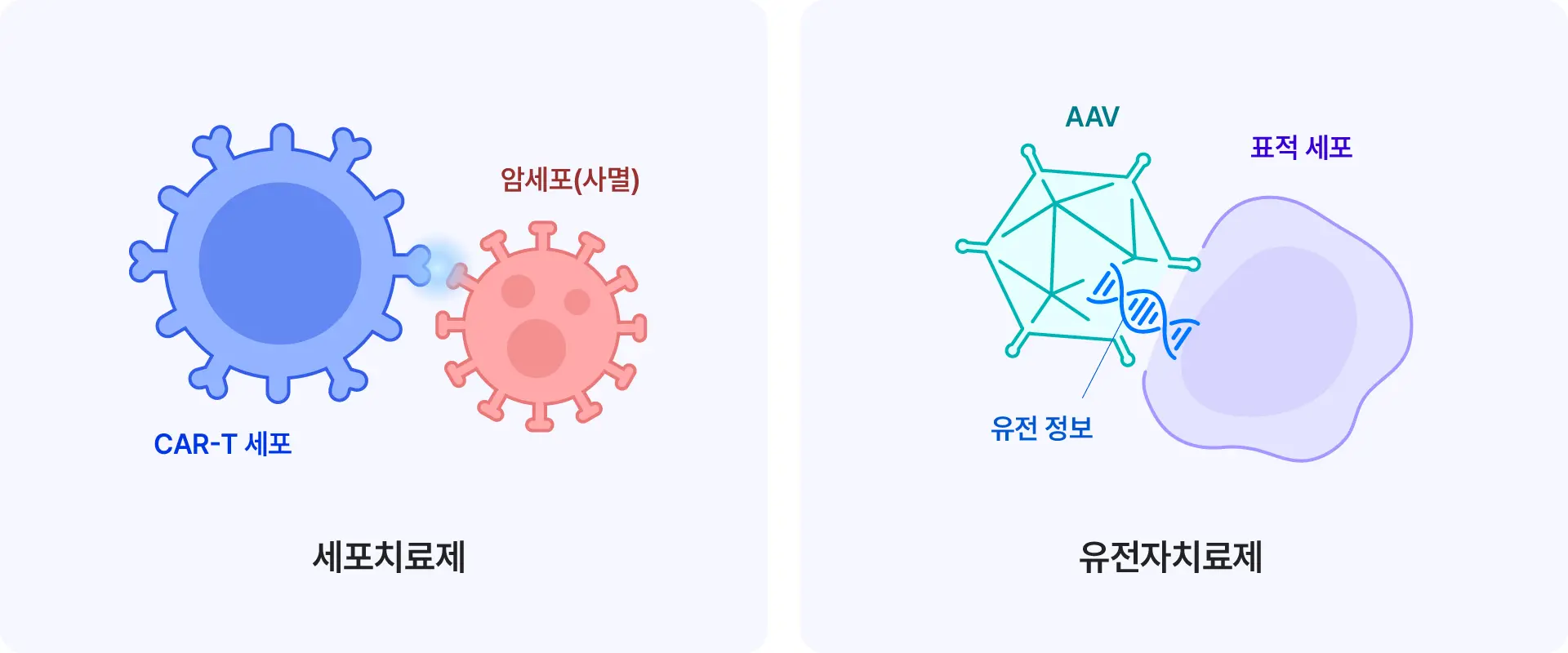 Imagine cell and gene therapy pc 3