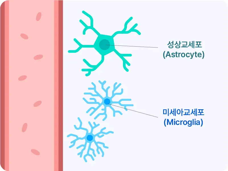 Imagine Neuroimmunology mobile 6