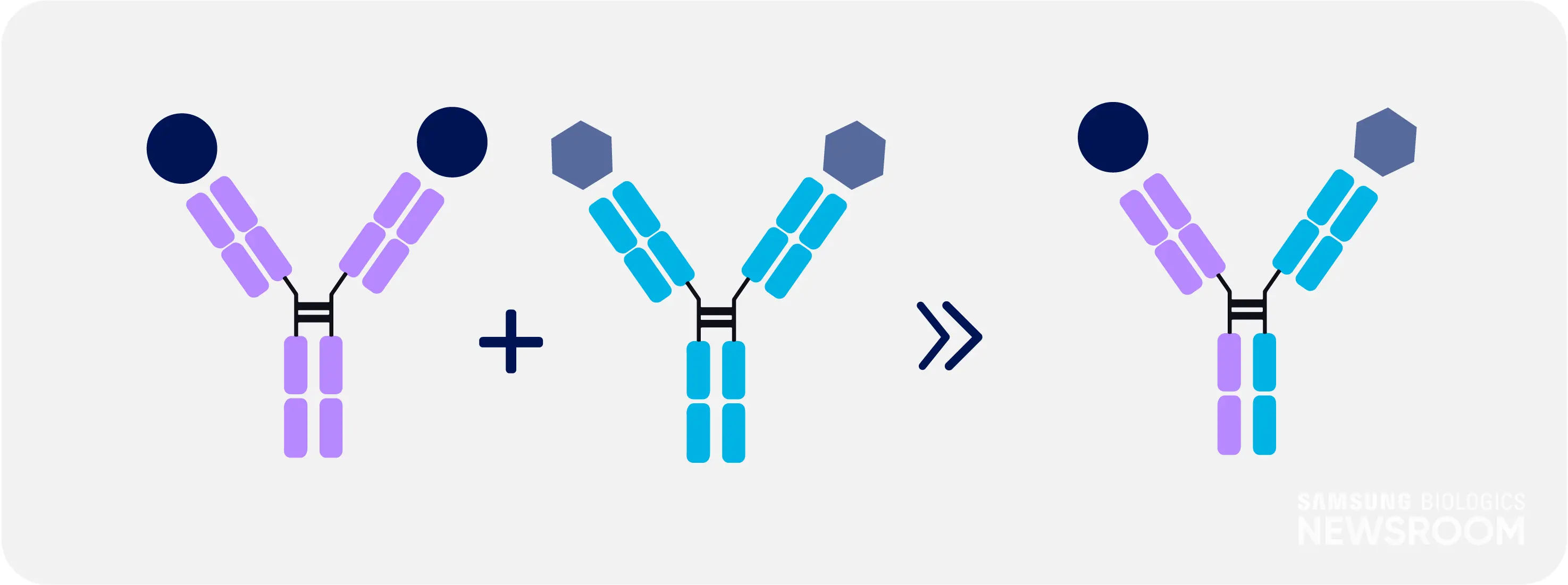 Driving multi modal flexibility through robust upstream processes at Samsung Biologics 6 KOR
