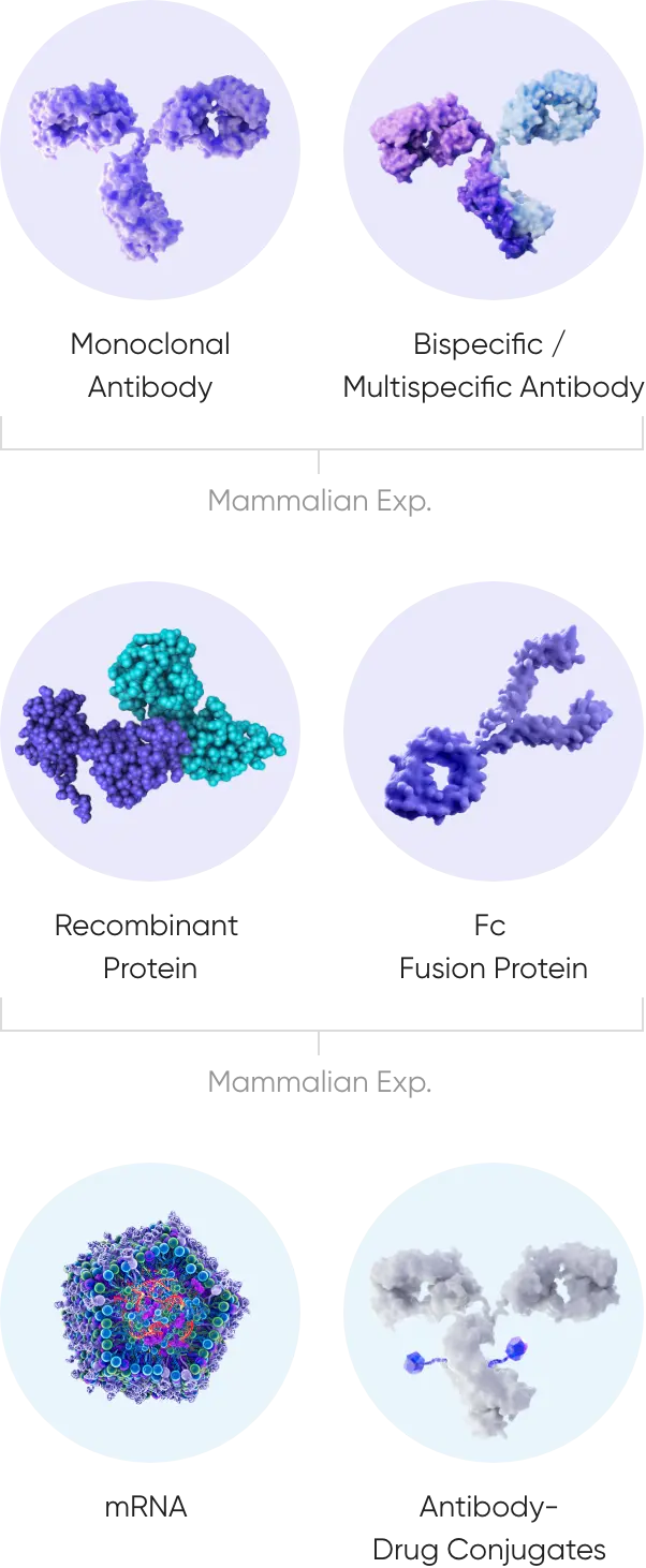 Driving multi modal flexibility through robust upstream processes at Samsung Biologics 2 mobile