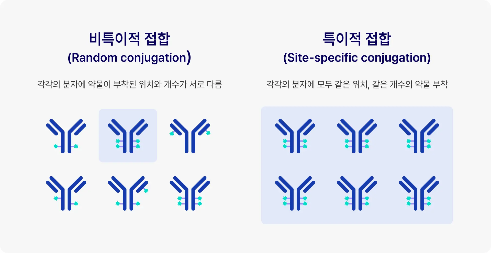 IMAGINE ADC Therapeutics 5