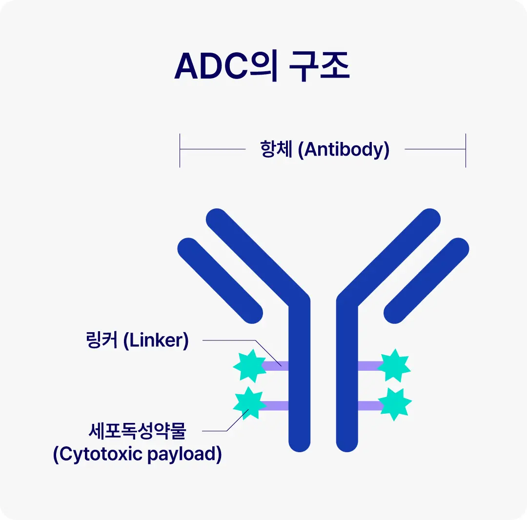 IMAGINE ADC Therapeutics 3
