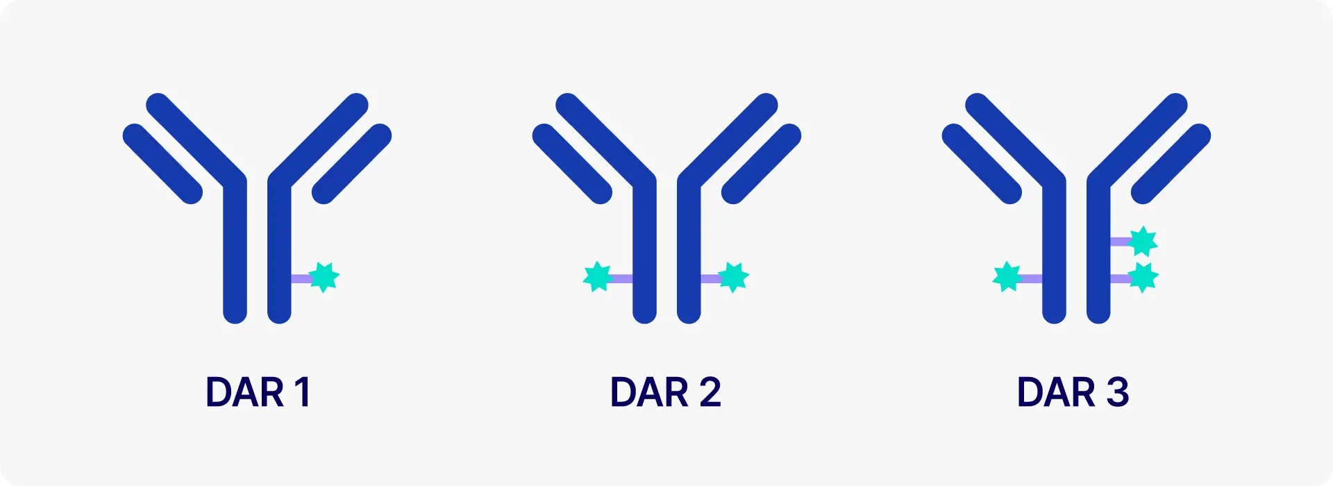 IMAGINE ADC Therapeutics 4