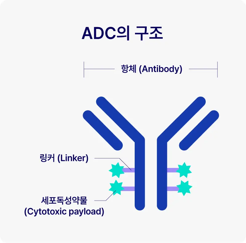 IMAGINE ADC Therapeutics mobile 3