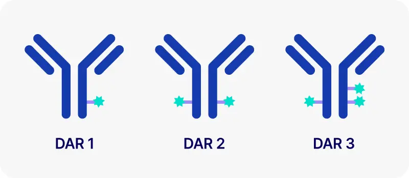 IMAGINE ADC Therapeutics mobile 4