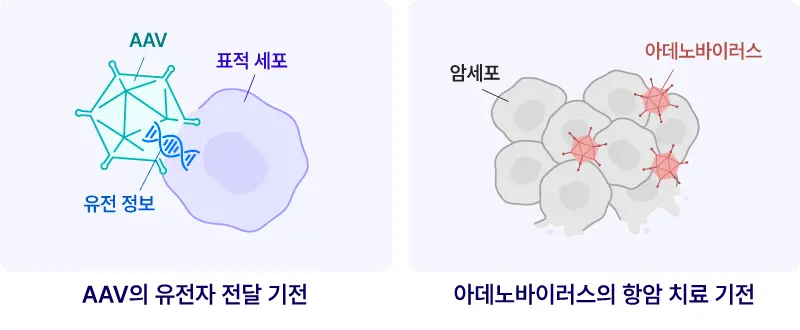 IMAGINE how viruses became medicines mobile 4