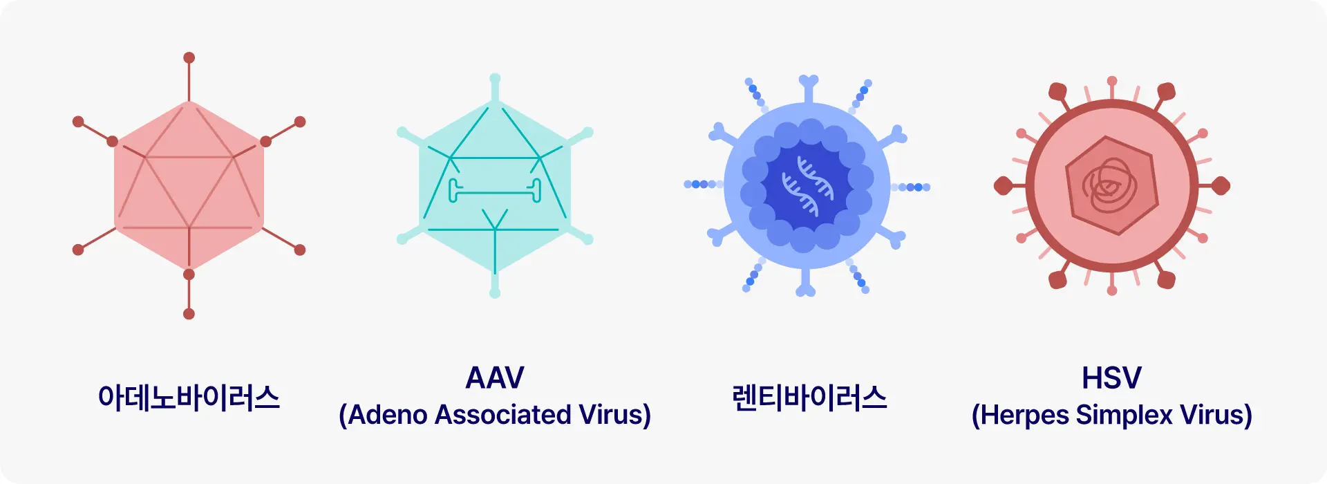IMAGINE how viruses became medicines 3