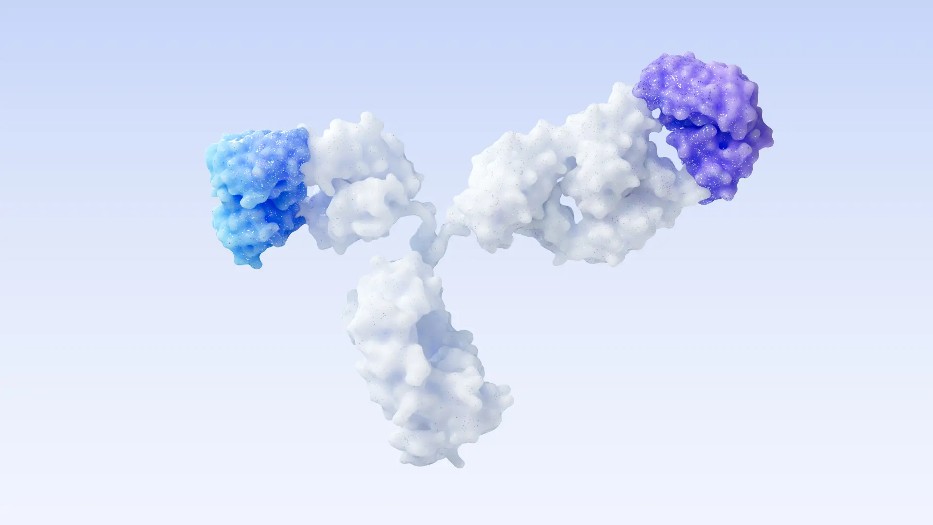 Platform strategy for improving manufacturability and efficacy in bispecific antibodies