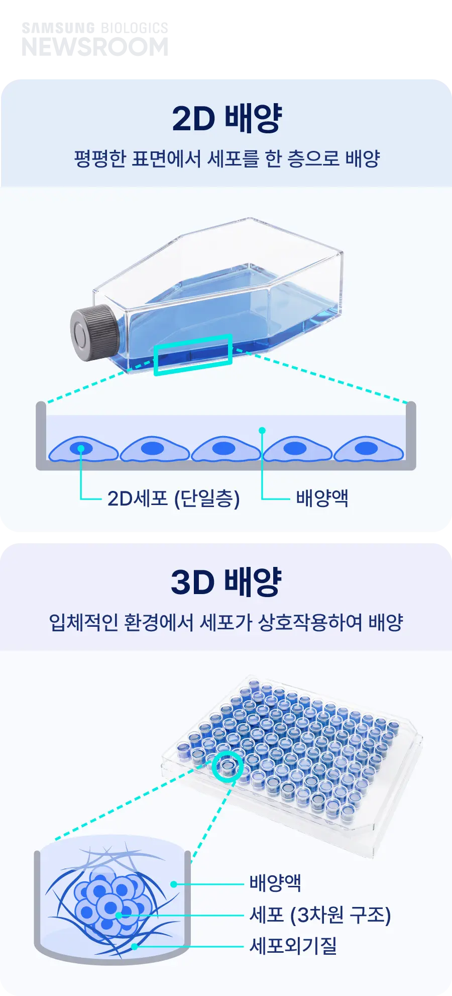 biopharmaceuticals made simple with samsung biologics organoids 2 mobile
