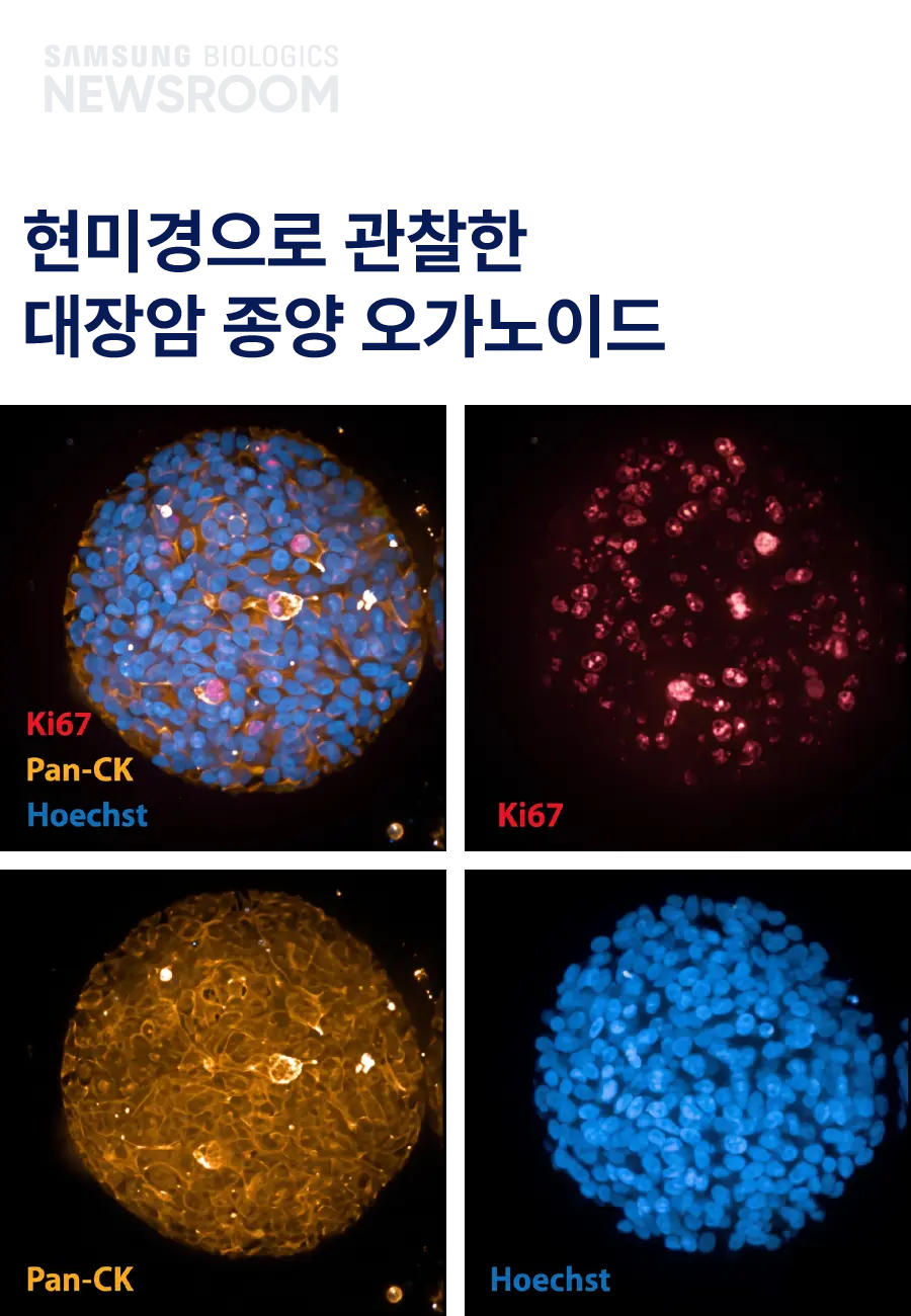 biopharmaceuticals made simple with samsung biologics organoids 4 mobile