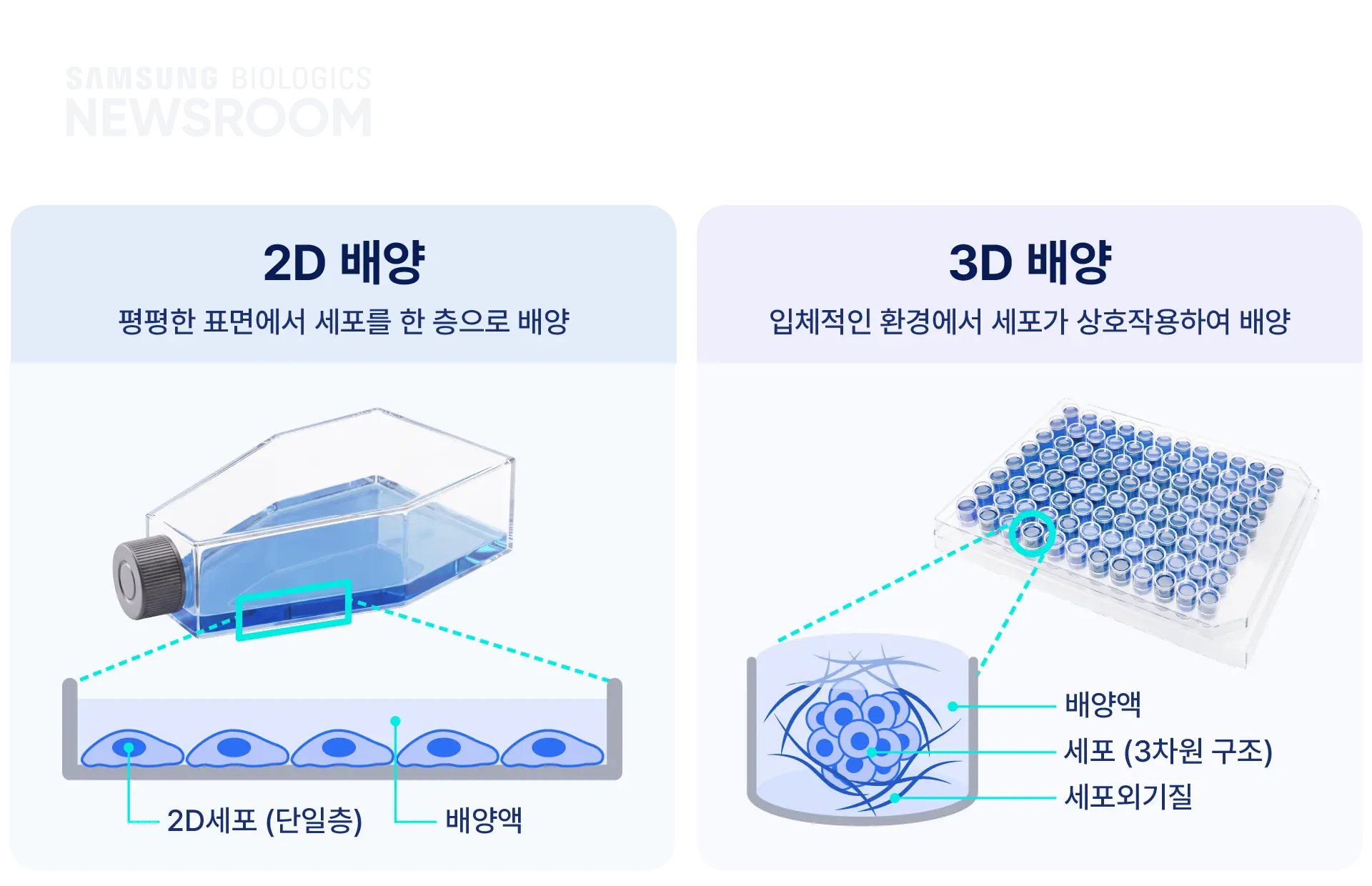 biopharmaceuticals made simple with samsung biologics organoids 2