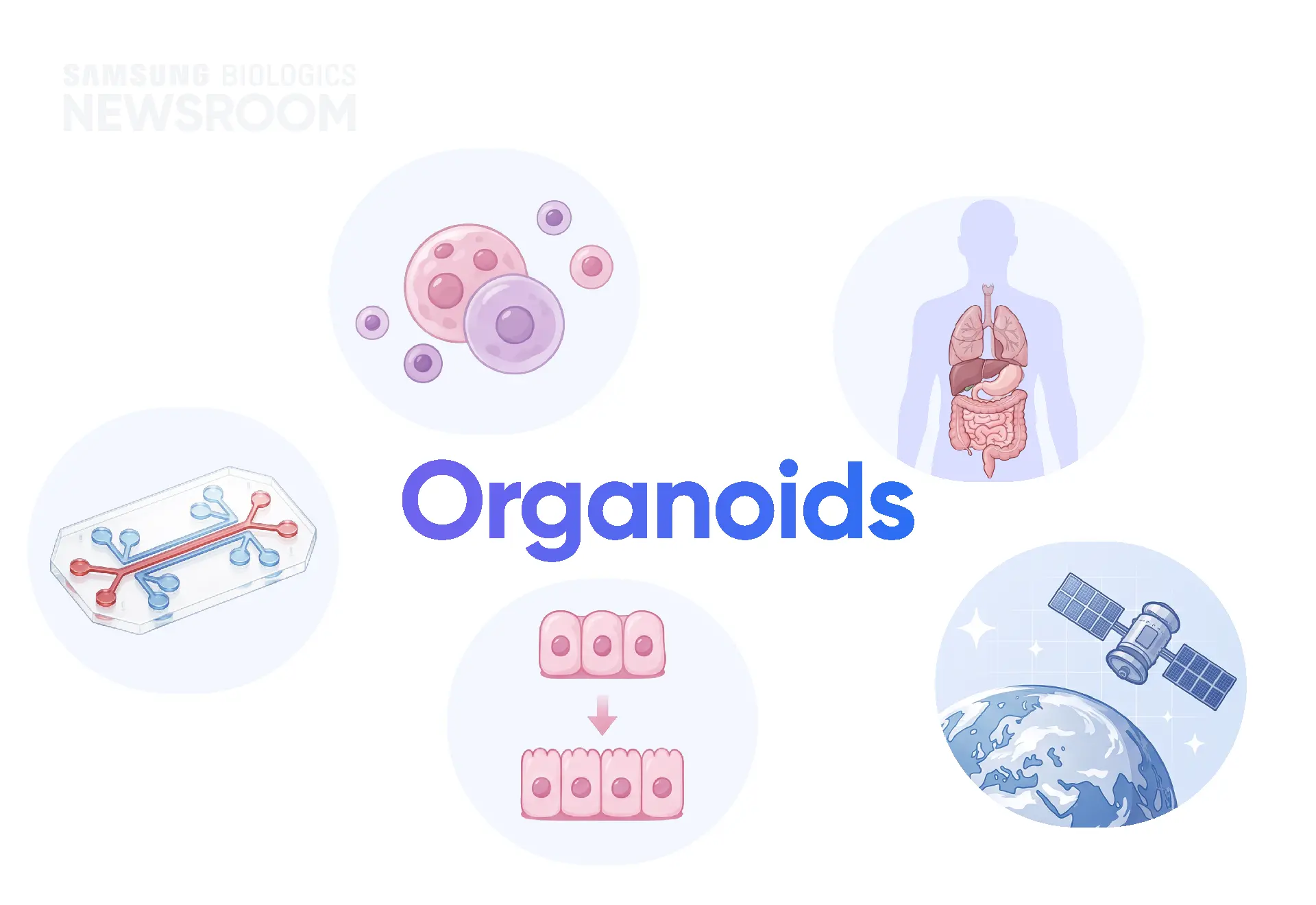 biopharmaceuticals made simple with samsung biologics organoids 6