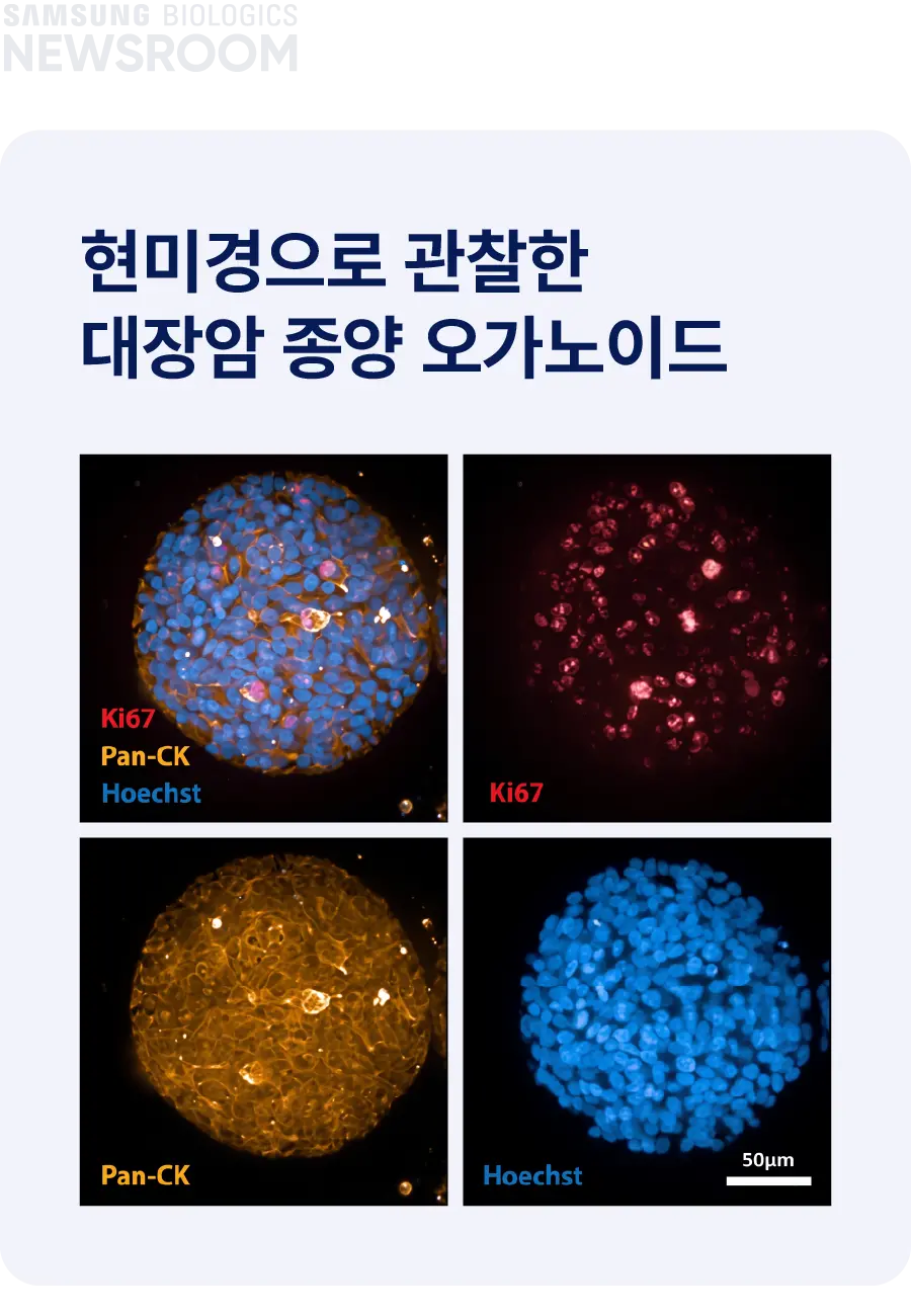 biopharmaceuticals made simple with samsung biologics organoids 4 mobile