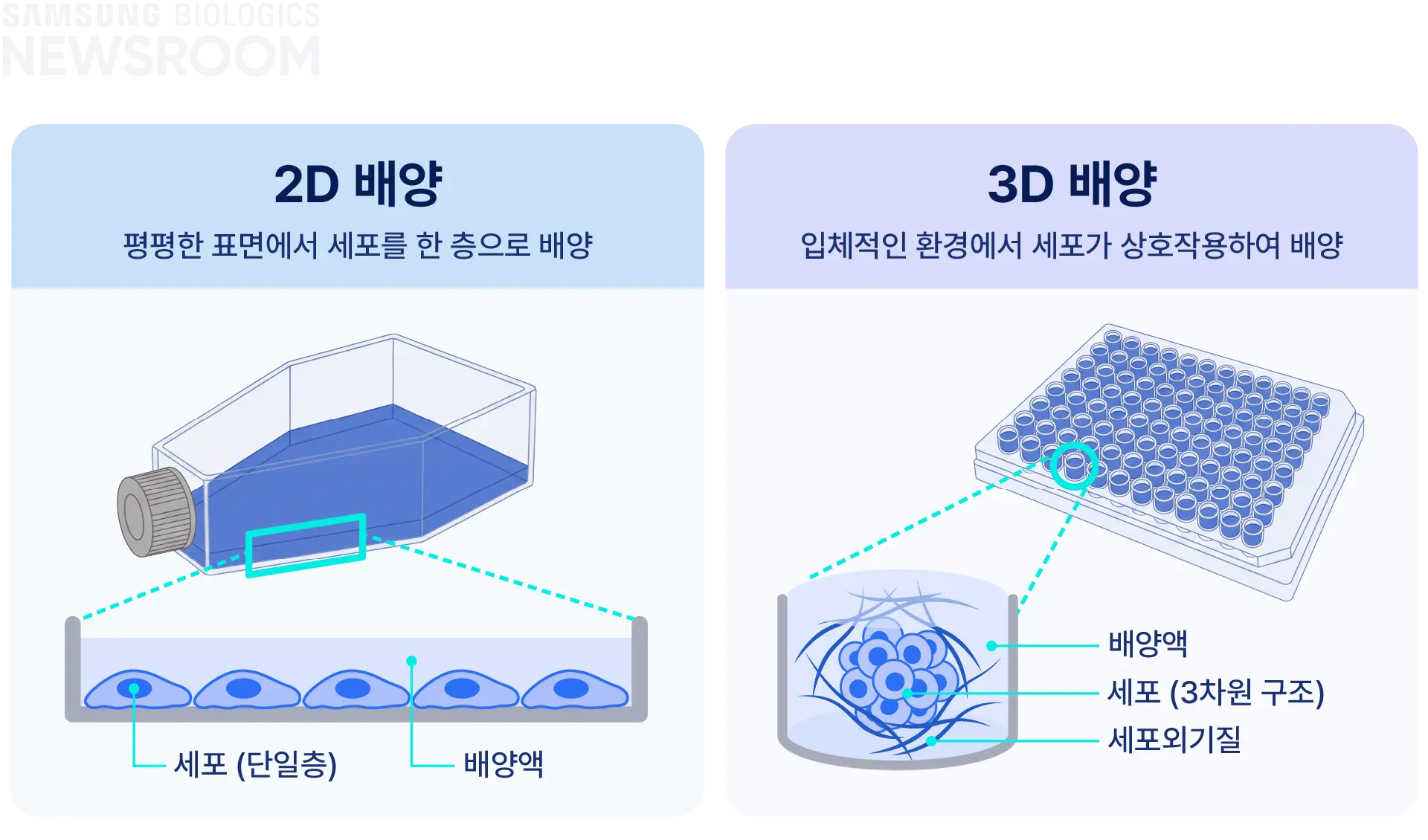 biopharmaceuticals made simple with samsung biologics organoids 2