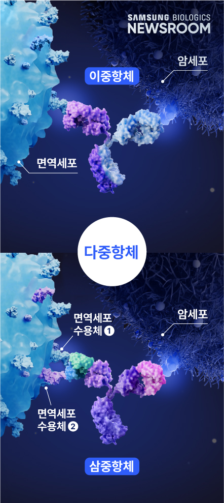 한 번에 두 개, 세 개의 항원까지 잡는 ‘다중 항체’