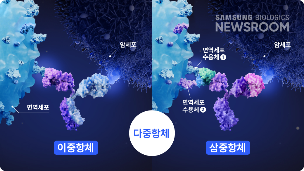 한 번에 두 개, 세 개의 항원까지 잡는 ‘다중 항체’