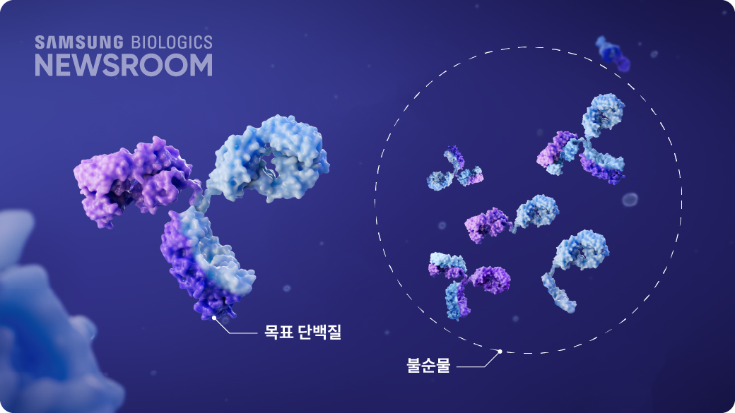 닮은 듯 다른 단일 항체와 이중 항체 대량 생산