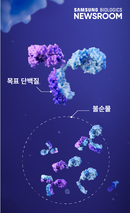 닮은 듯 다른 단일 항체와 이중 항체 대량 생산