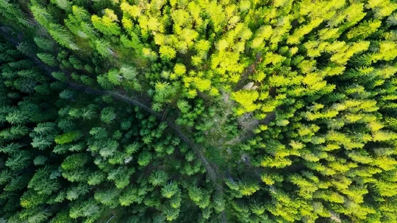 How are organizations balancing cost with regulatory, supply chain, and reputational risk when selecting partners or sites?