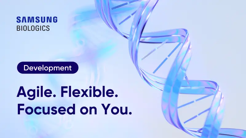 Development Services_image