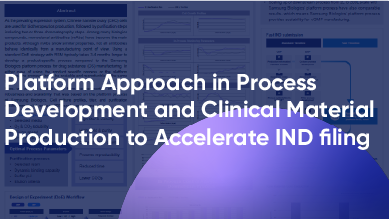 Platform Approach in Process Development and Clinical Material Production to Accelerate IND filing_image