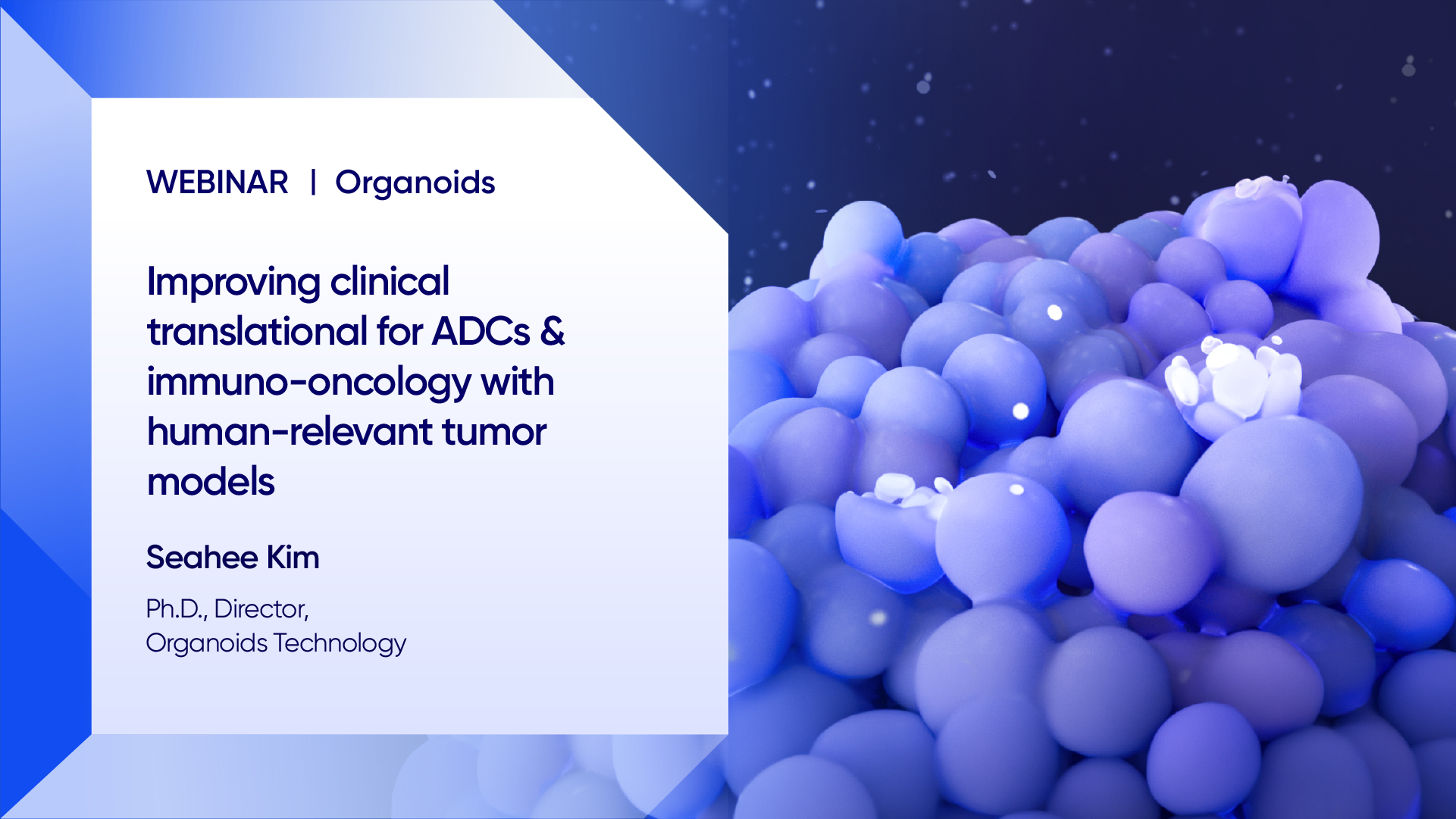 Improving clinical translational for ADCs and immuno-oncology with human-relevant tumor thumbnail