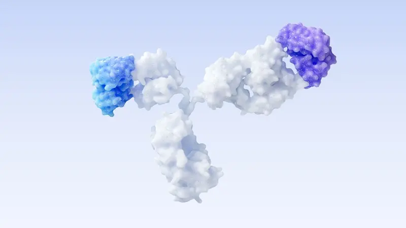 (Japanese) Platform strategy for improving manufacturability and efficacy in bispecific antibodies