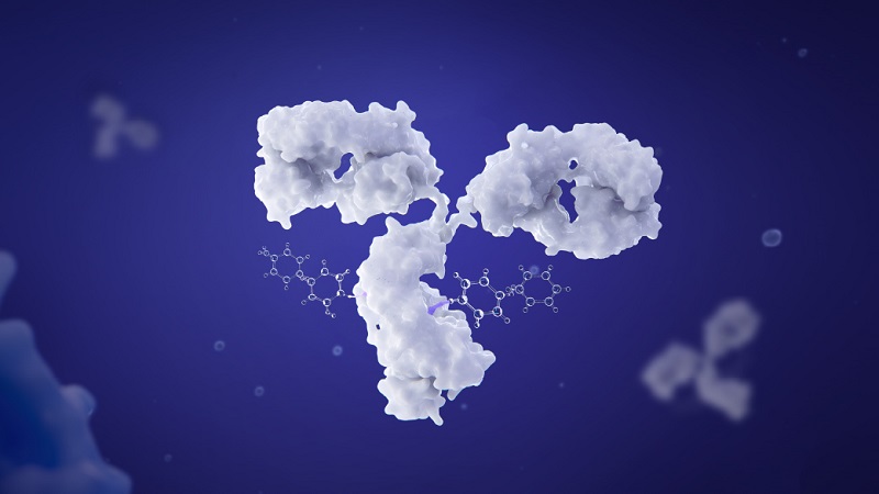 Introducing two new highly effective ADC payloads for cancer therapeutics