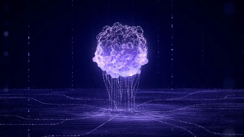 Data-centric organoid services for predictive drug response and next-generation oncology research