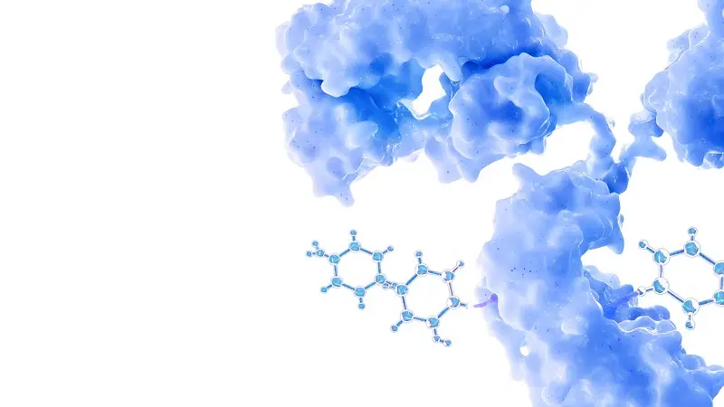 Platform analytical strategies for bioconjugates